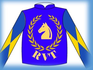 2nd silks soft