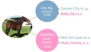 city-zip-filly-pedigree