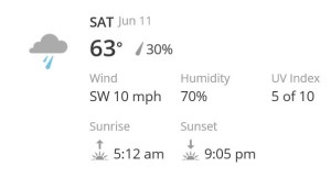 Forecast