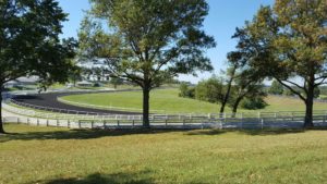 keeneland