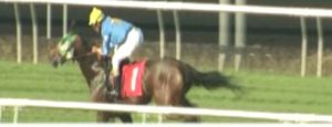 pyscho-continues-to-lead