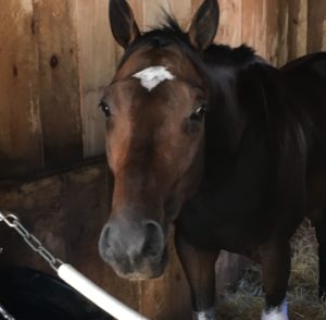 Stormin at the Spa 1