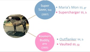 Super Bud pedigree