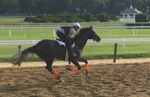 SuperBuddy on track