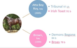 pedigree elroy